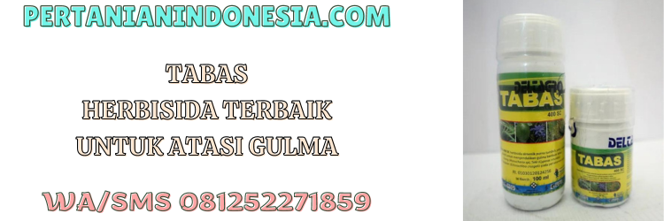 tabas,herbisida,terbaik,pestisida,deltagro,tabas 400 sc,pertanian indonesia